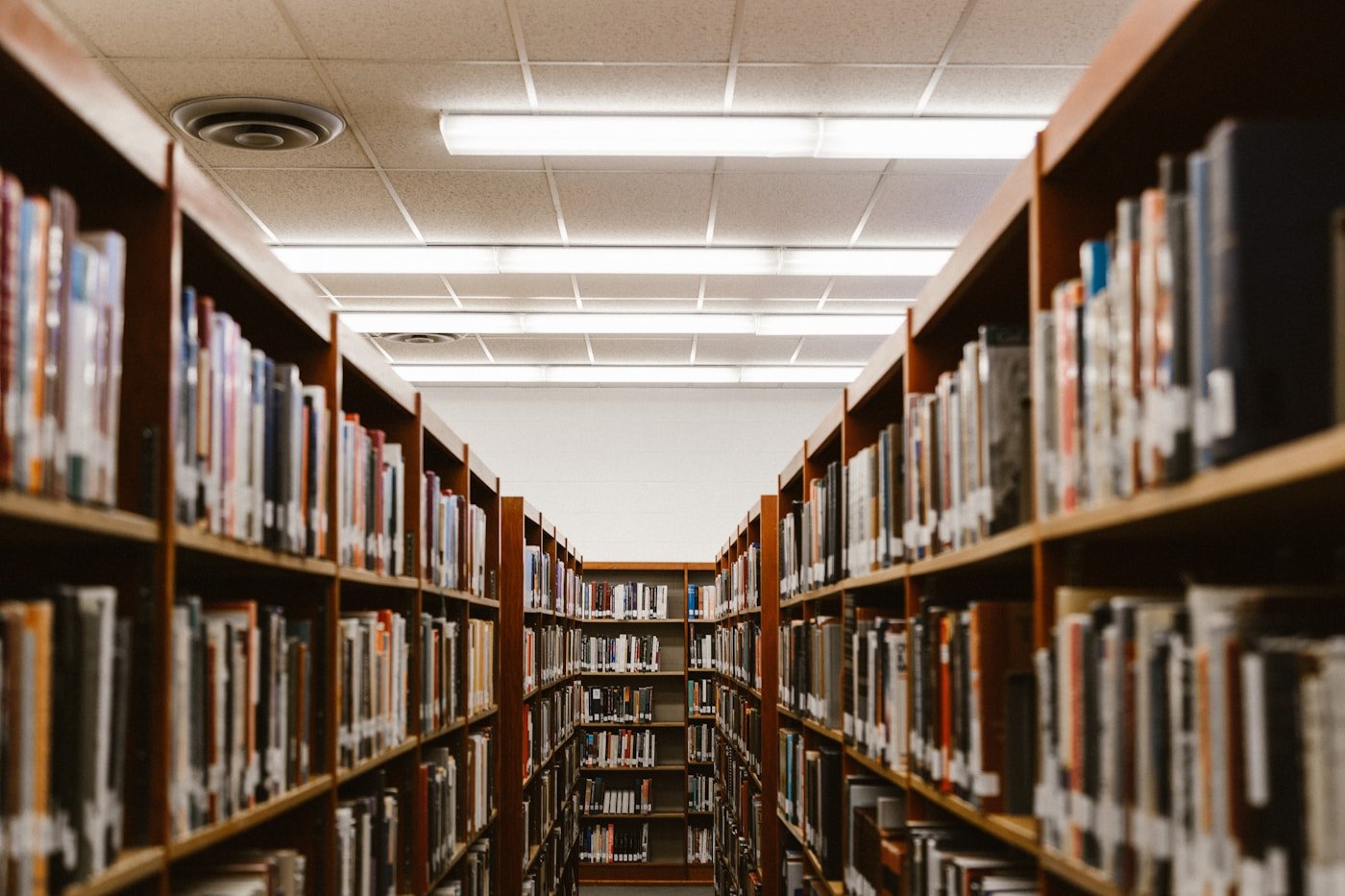 A calm, modern library designed for focused study